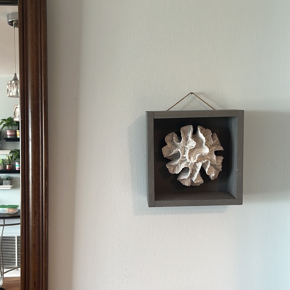 White Coral in 7.5” Square Grey Shadowbox Wall Decor - Picture 4 of 4
